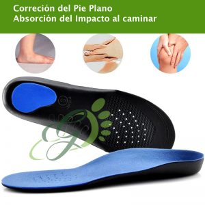 PLANTILLA ORTOPÉDICA